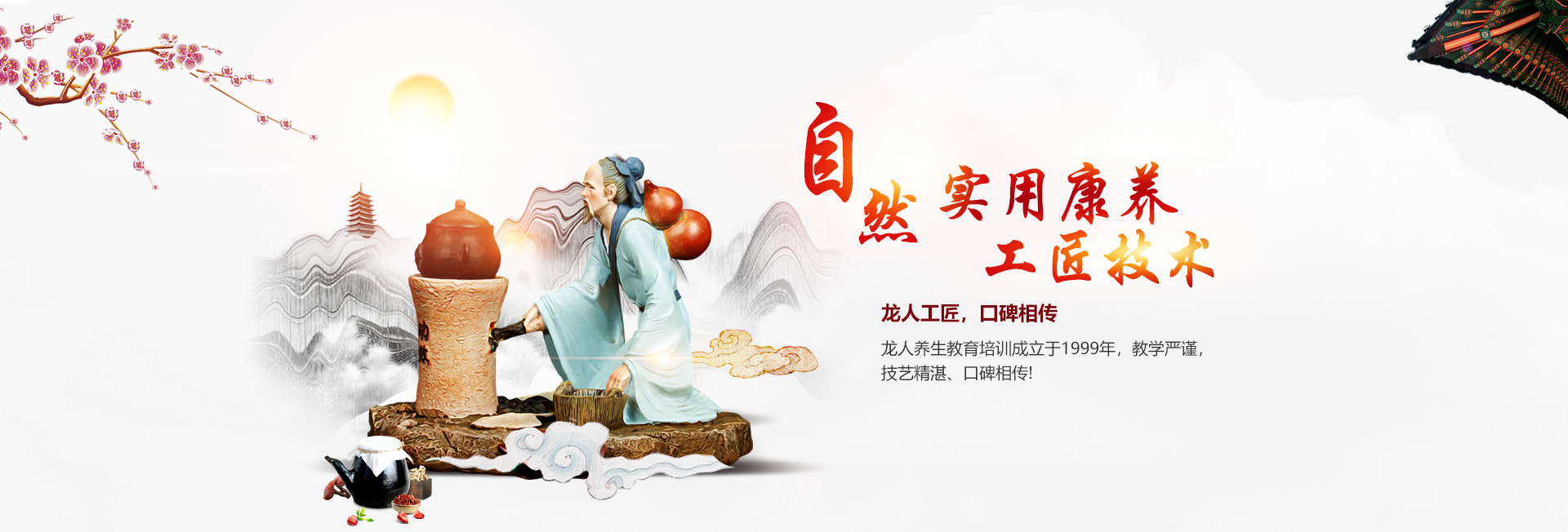 重庆龙人实用医养技术